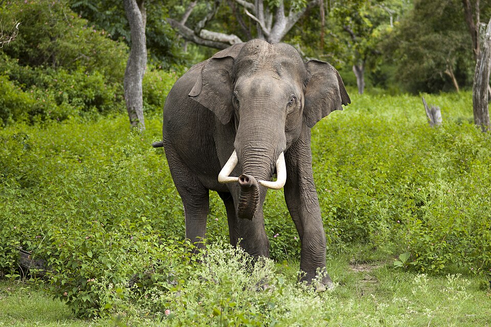 Plan Your Perfect Escape – Explore With Our Custom Packages