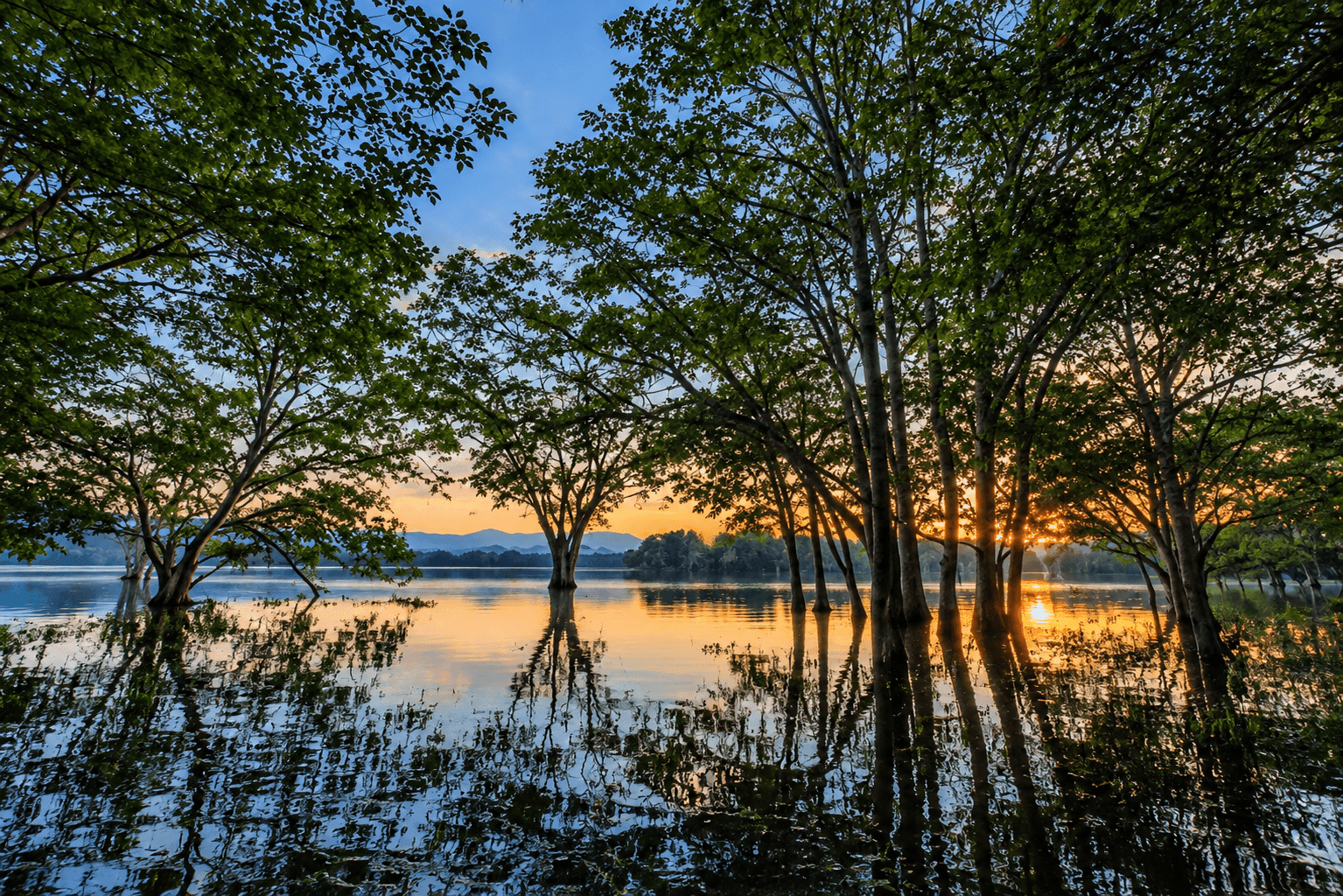 Hambegamuwa Lake - Sri Lanka Destination (3)