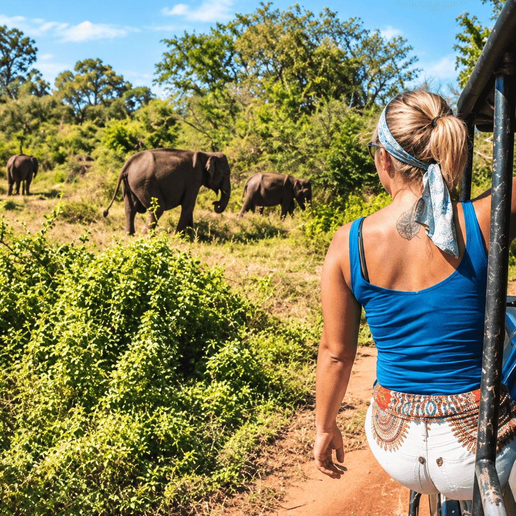 Full Day Safari (4/4)