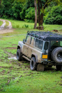 Udawalawe Wild Safari | Full Day Safari Package