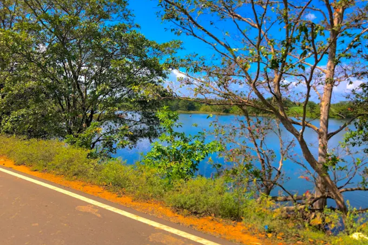 Untitled design (43)