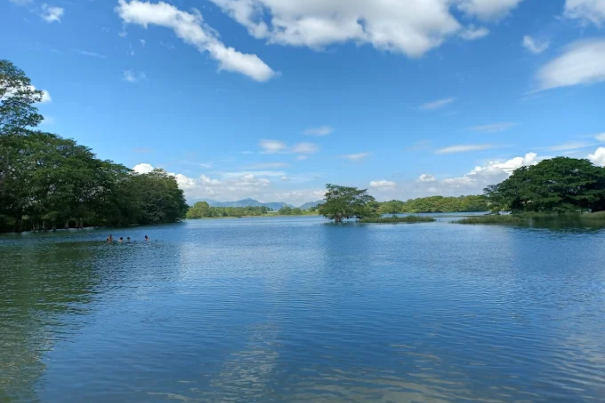 Untitled design (44)