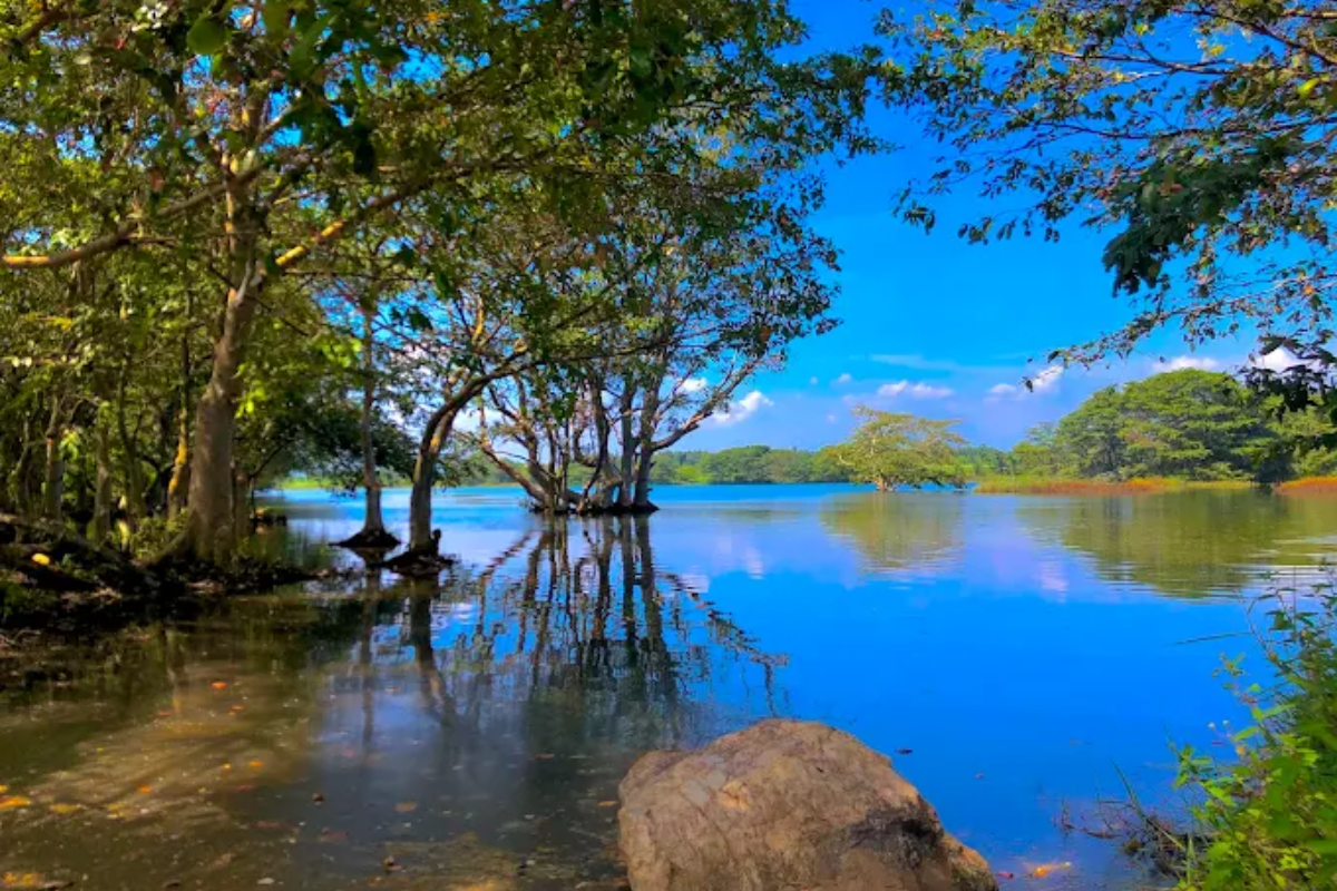 Untitled design (45)