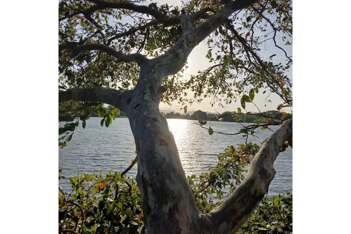 Untitled design (46)