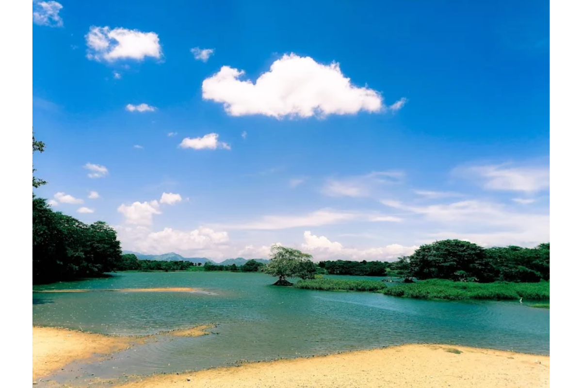 Untitled design (47)