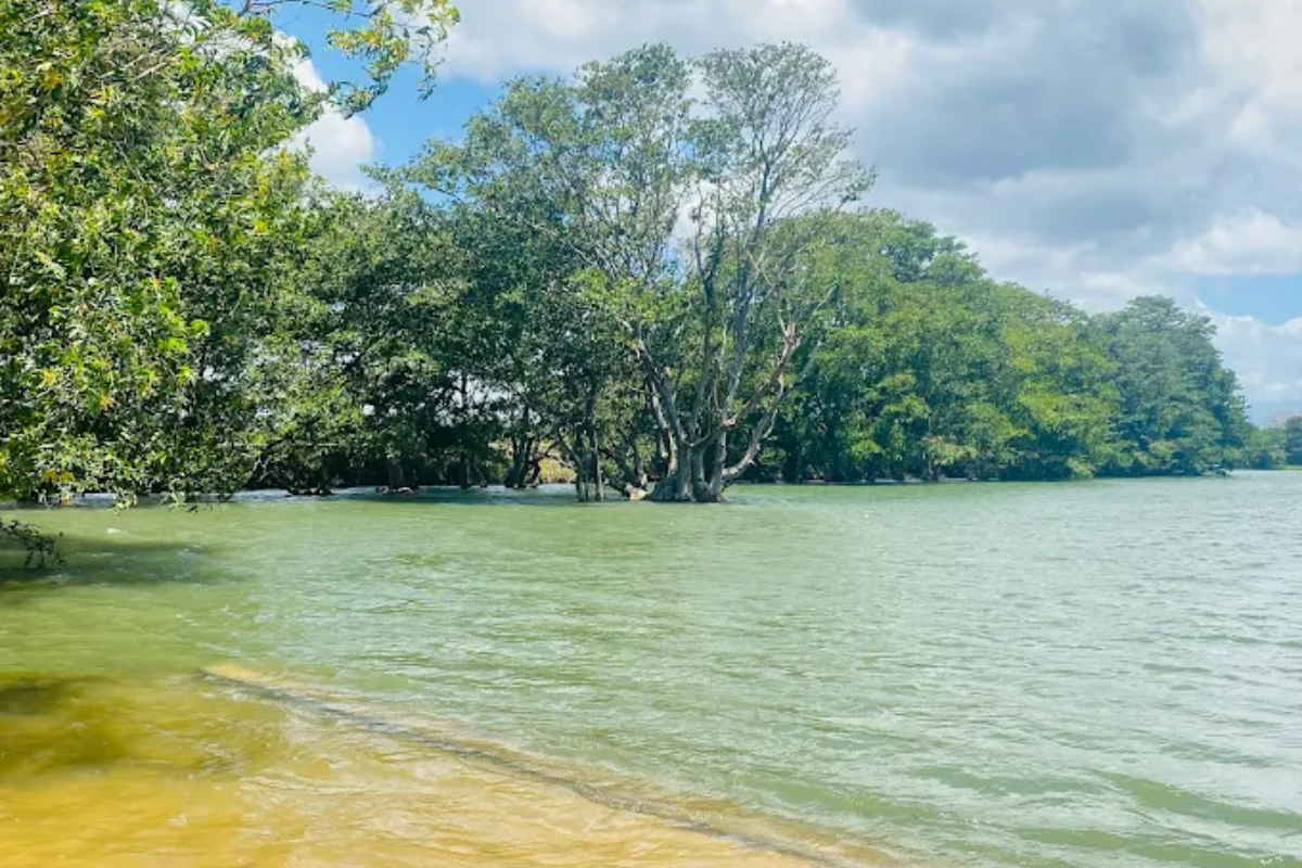 Untitled design (48)